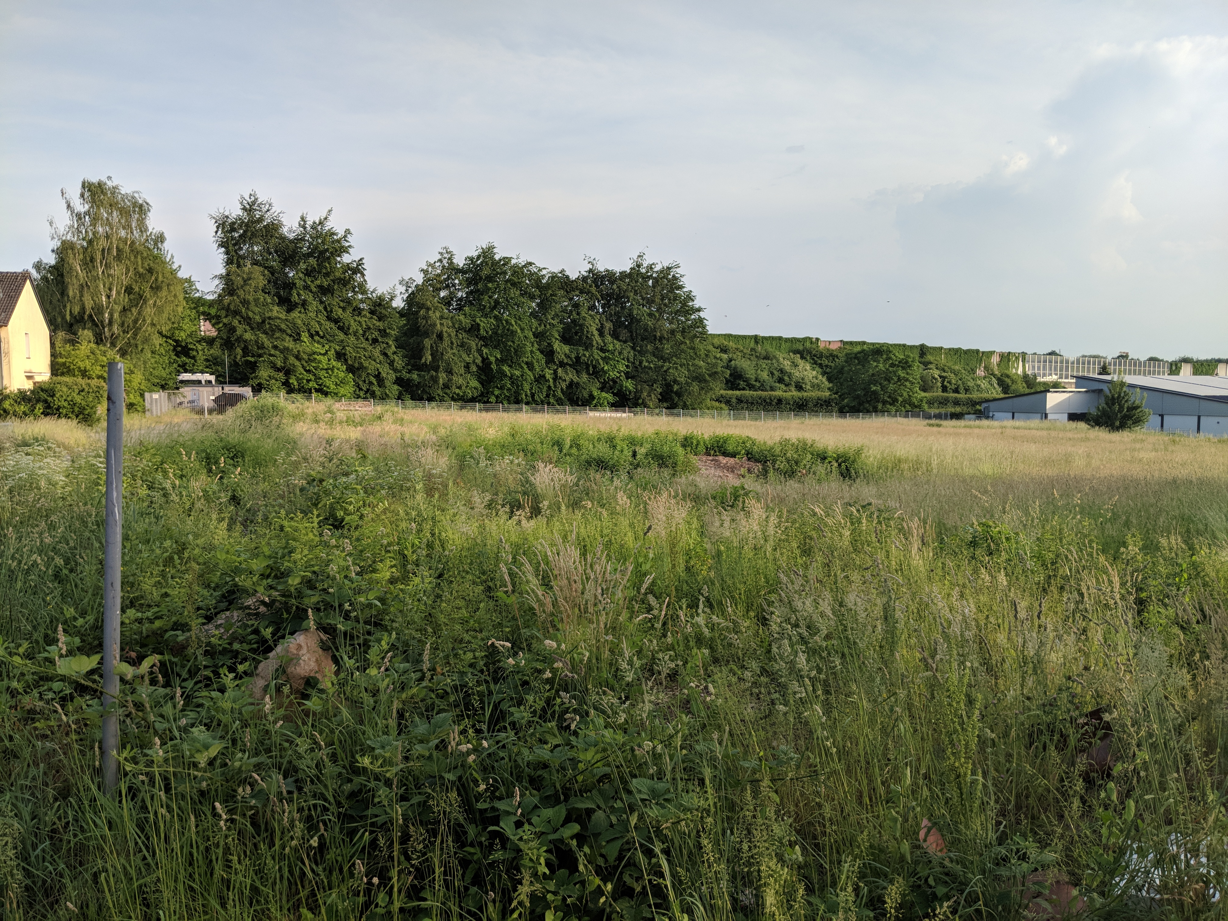 Baugebiet und Kindergarten am Sandweg – Das haben wir erreicht, dafür kämpfen wir noch.